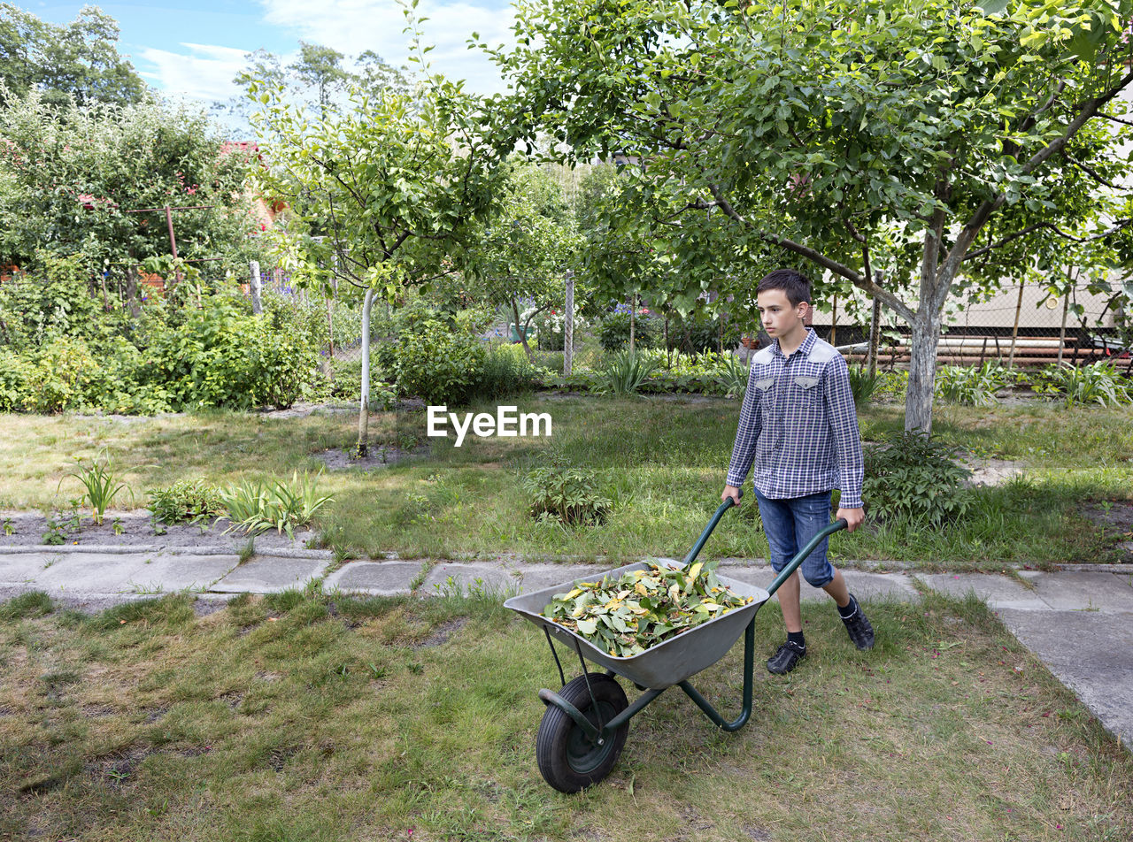 Full length of boy with wheelbarrow at park