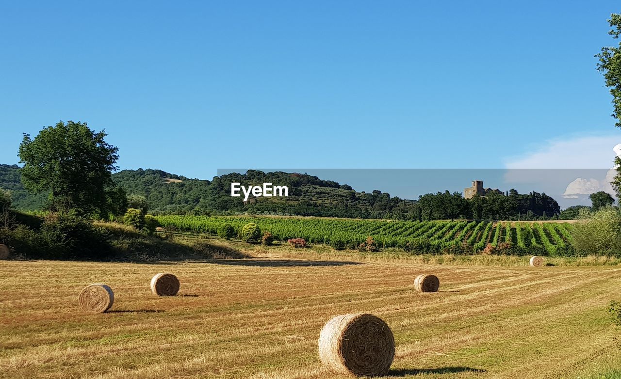 Hay bales on field against sky