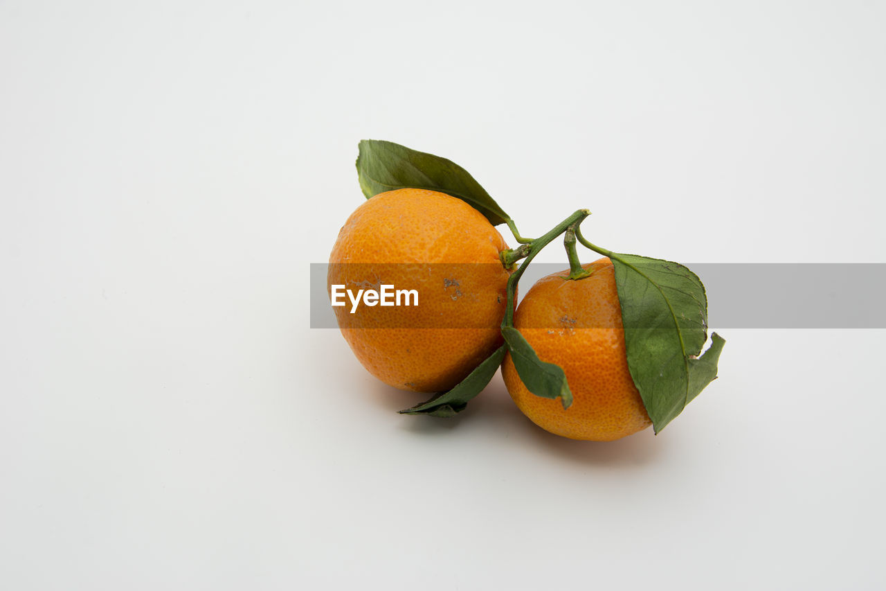 CLOSE-UP OF ORANGE FRUITS