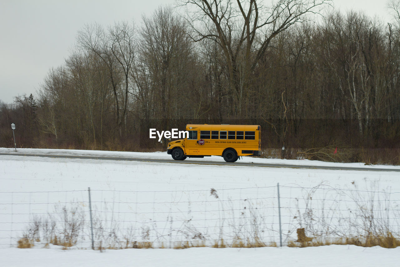 YELLOW CAR ON SNOW COVERED TREE