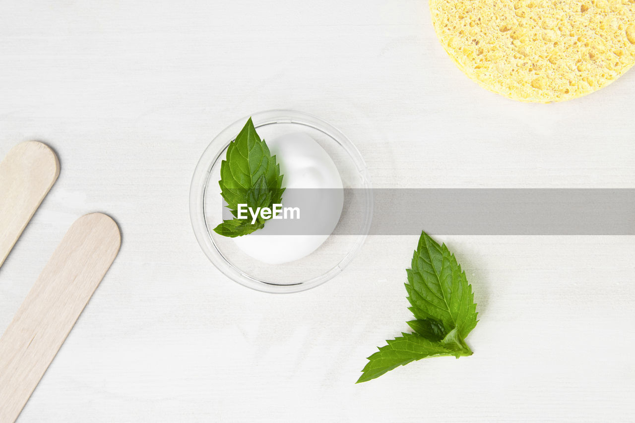 Cosmetic cream, lotion based on mint with green leaves of the plant. 