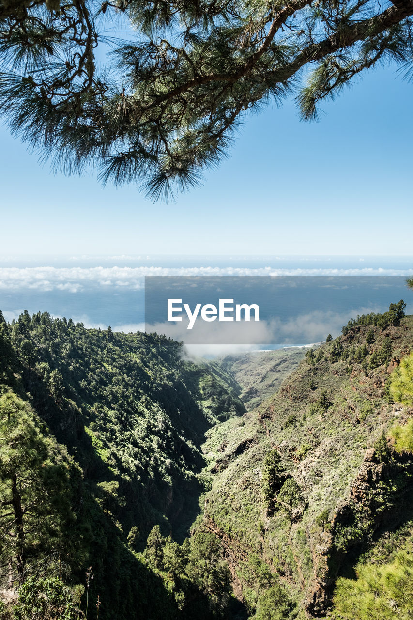 Scenic view of tree mountains against sky