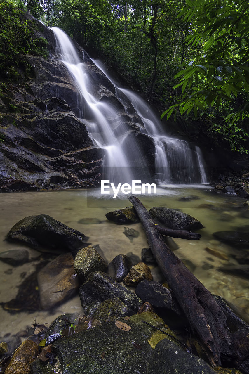 WATERFALL IN FOREST