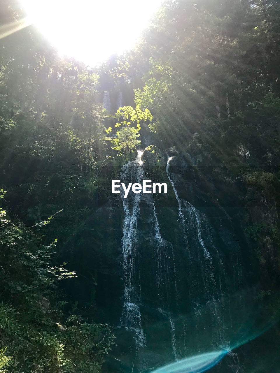 SCENIC VIEW OF WATERFALL AGAINST TREES IN FOREST