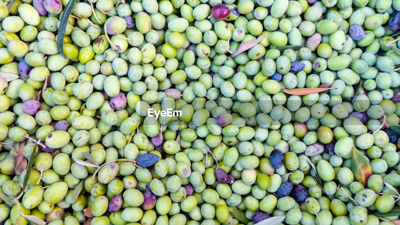 Full frame shot of fruits for sale at market