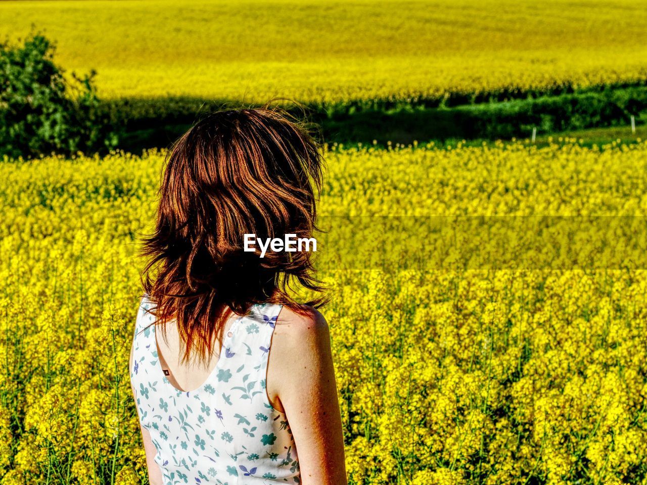 Woman standing against yellow flowering plants