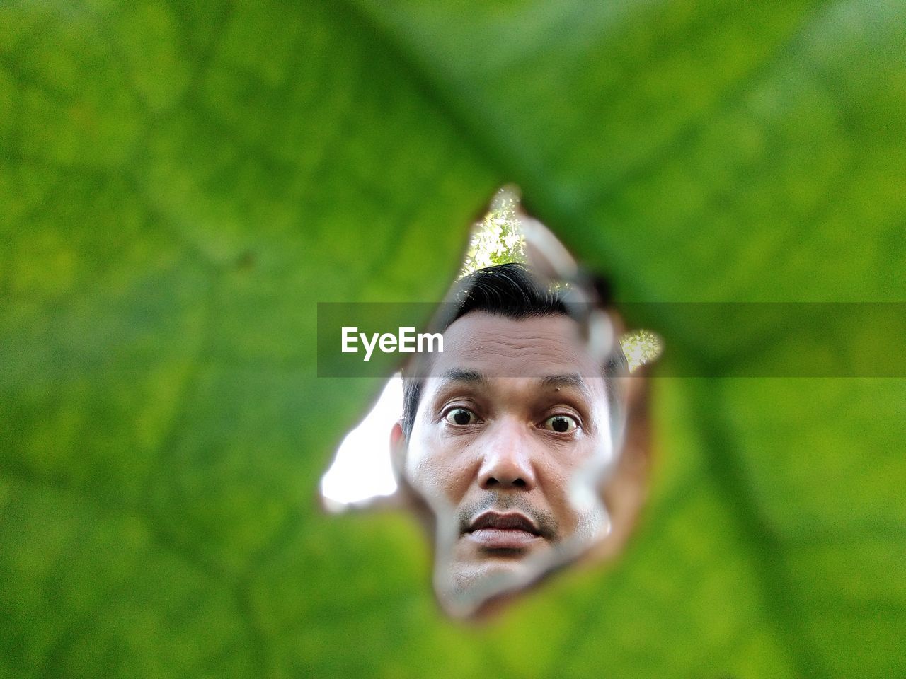 CLOSE-UP PORTRAIT OF MAN WITH GREEN PLANT