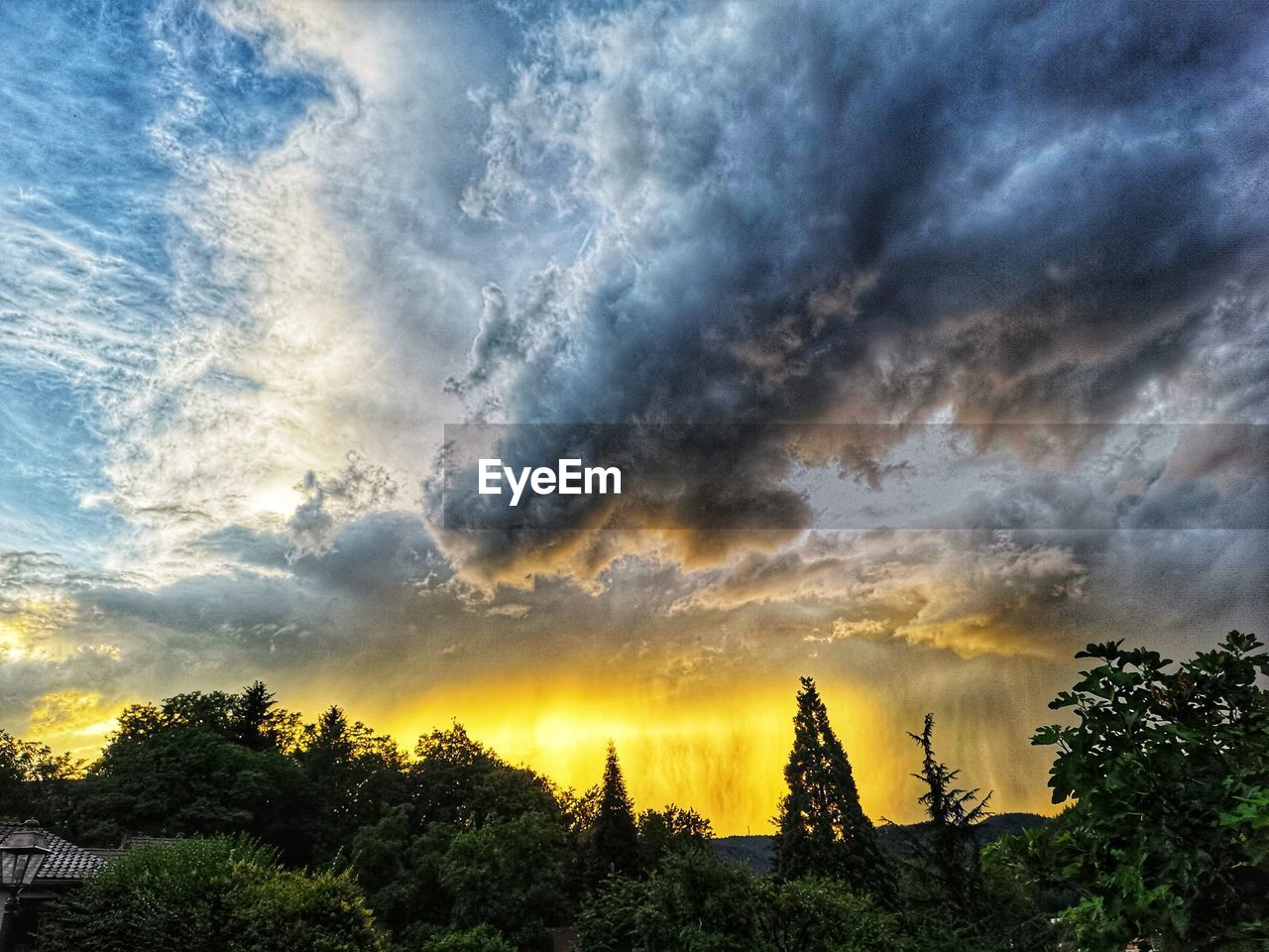 LOW ANGLE VIEW OF TREES AGAINST DRAMATIC SKY DURING SUNSET