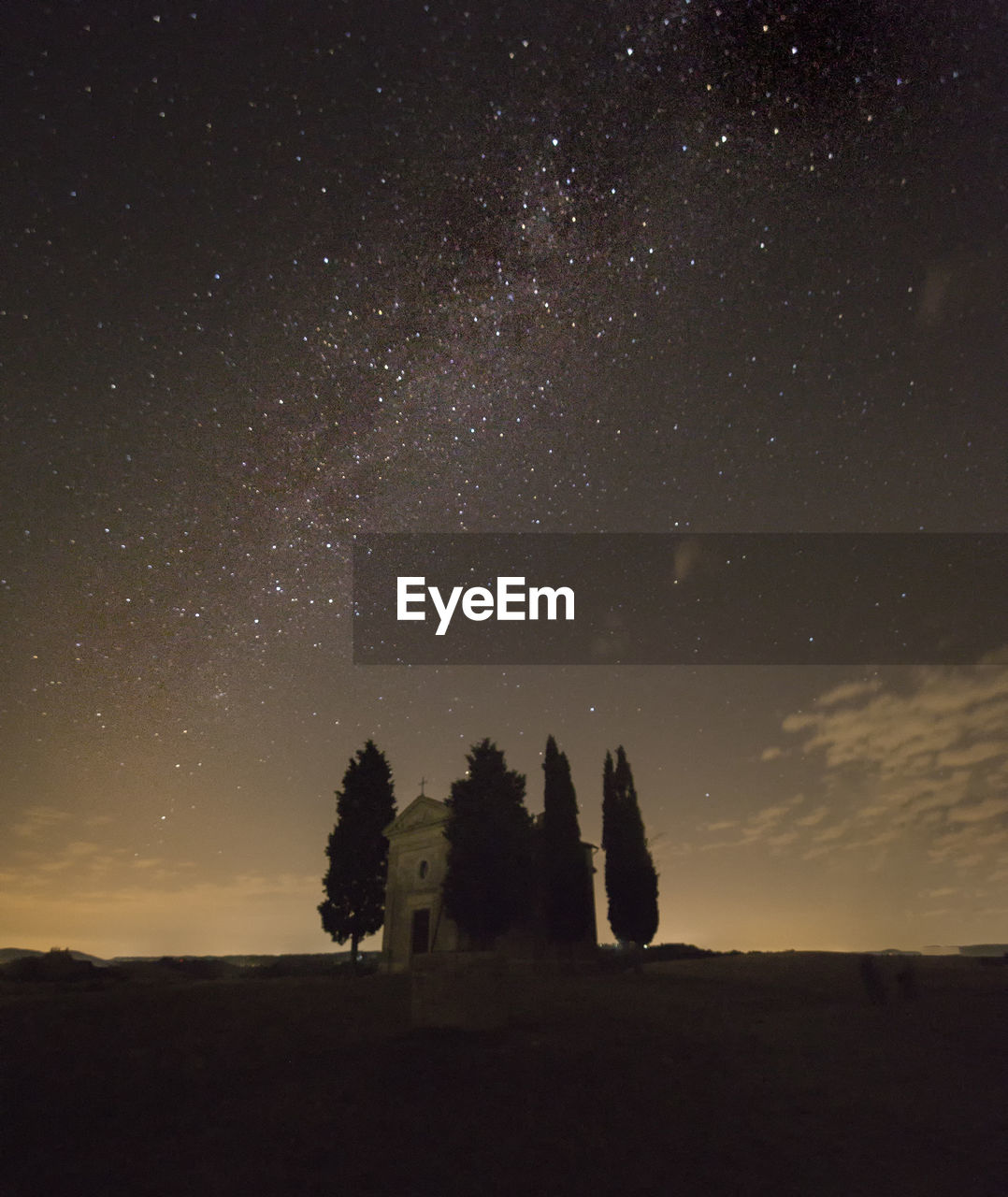 Trees on field against sky at night