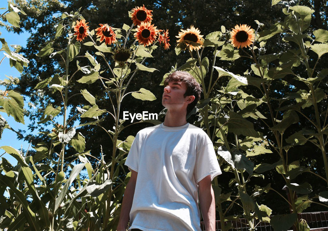 Portrait of young man standing against plants and sunflowers