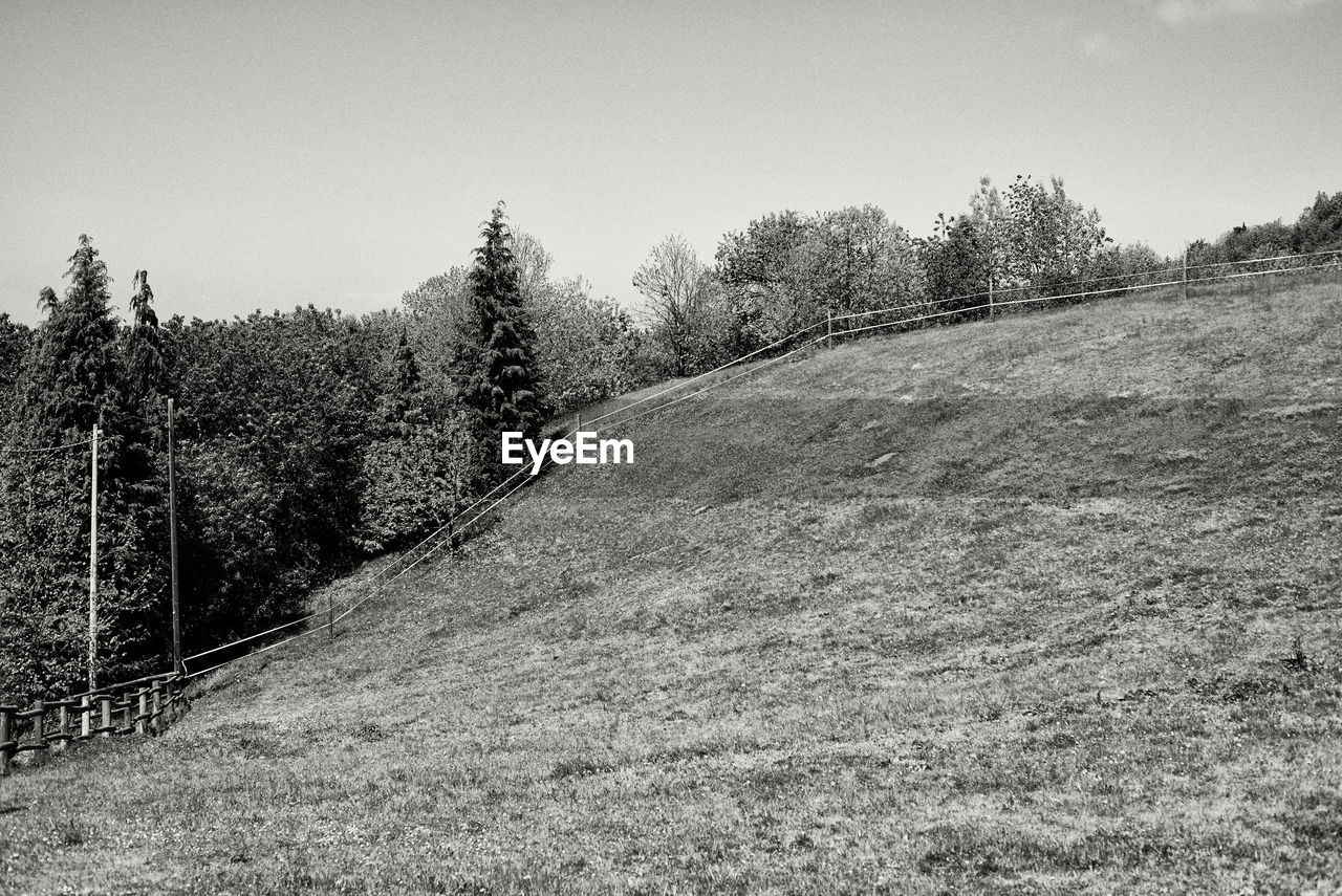 TREES ON FIELD AGAINST SKY