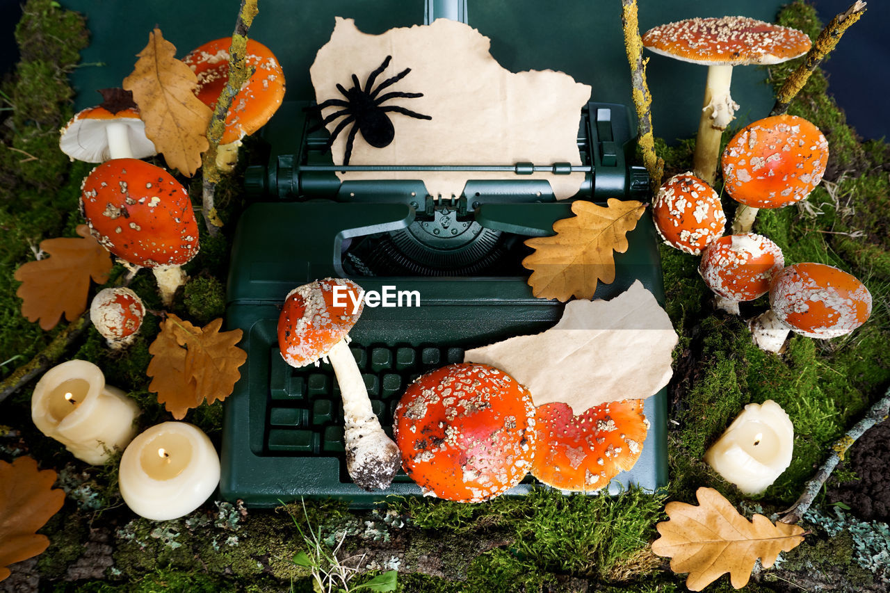 Fly agaric mushrooms are located on a retro typewriter and around on green moss.