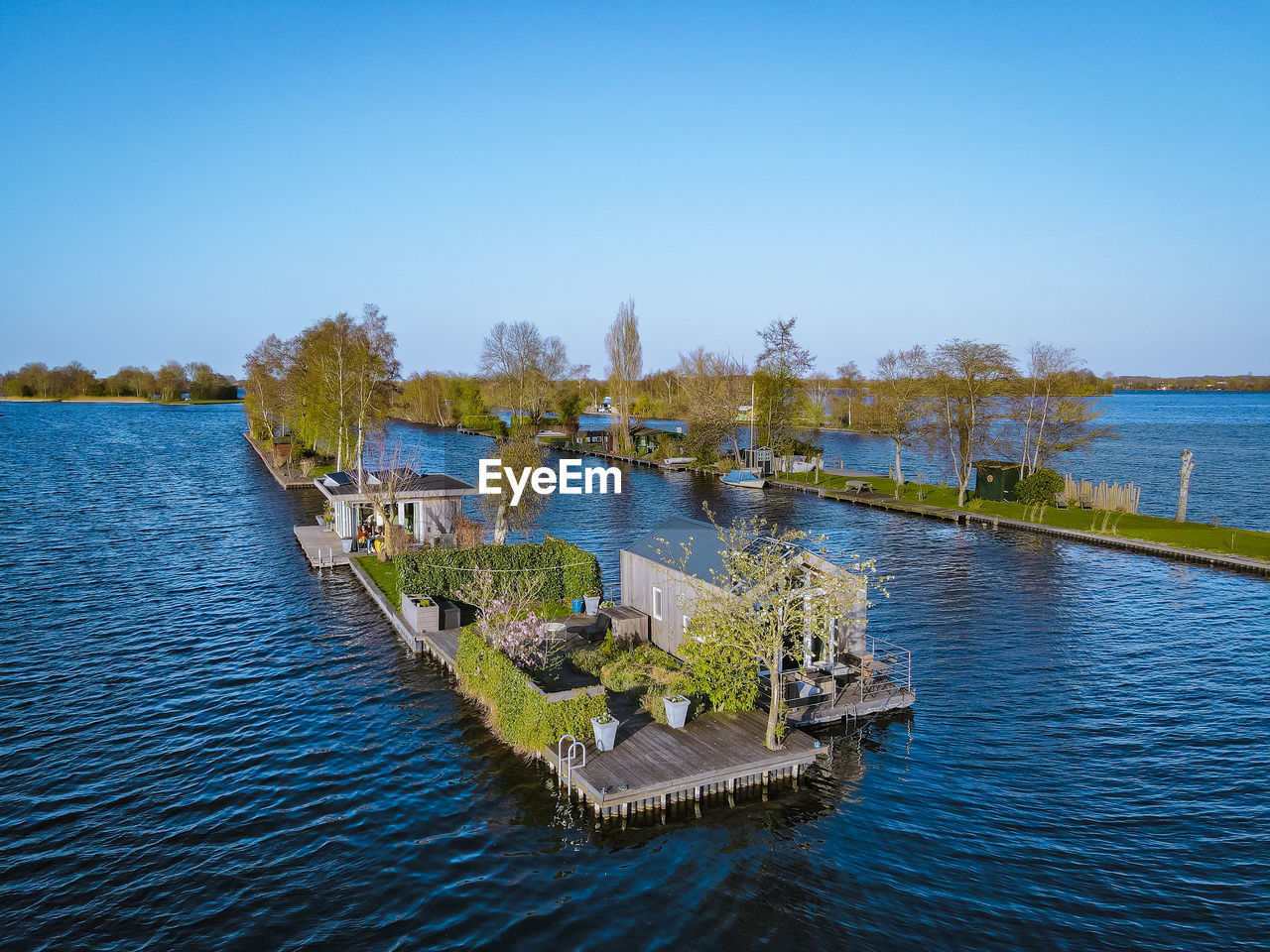 PLANTS BY LAKE AGAINST BLUE SKY