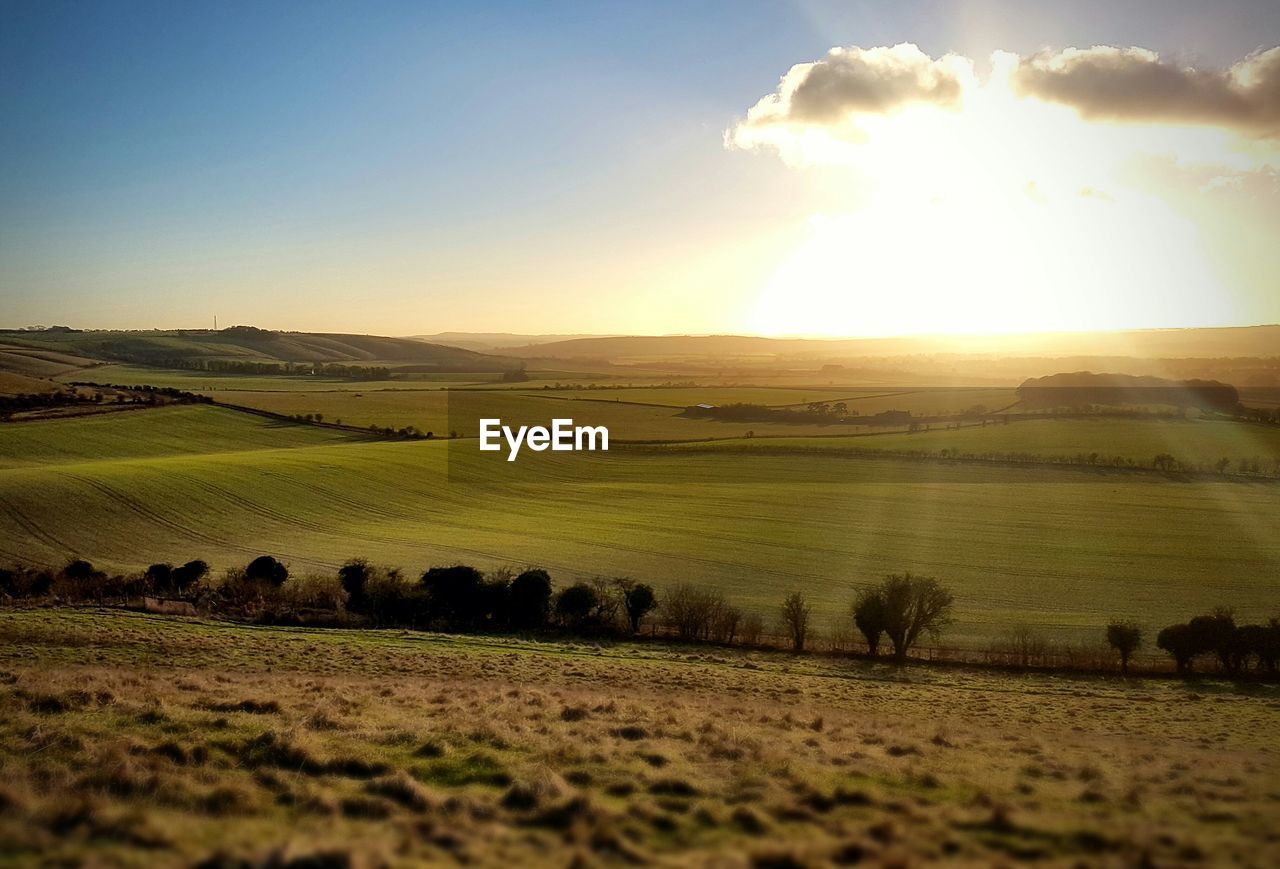 Scenic view of field against sky during sunset