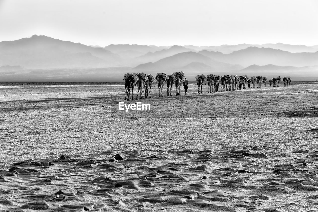 GROUP OF PEOPLE ON BEACH AGAINST MOUNTAINS