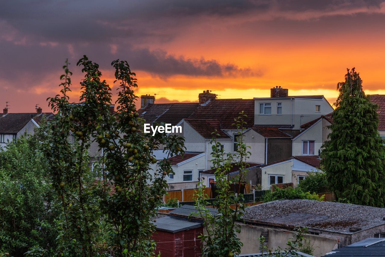 Trees and buildings against sky during sunset