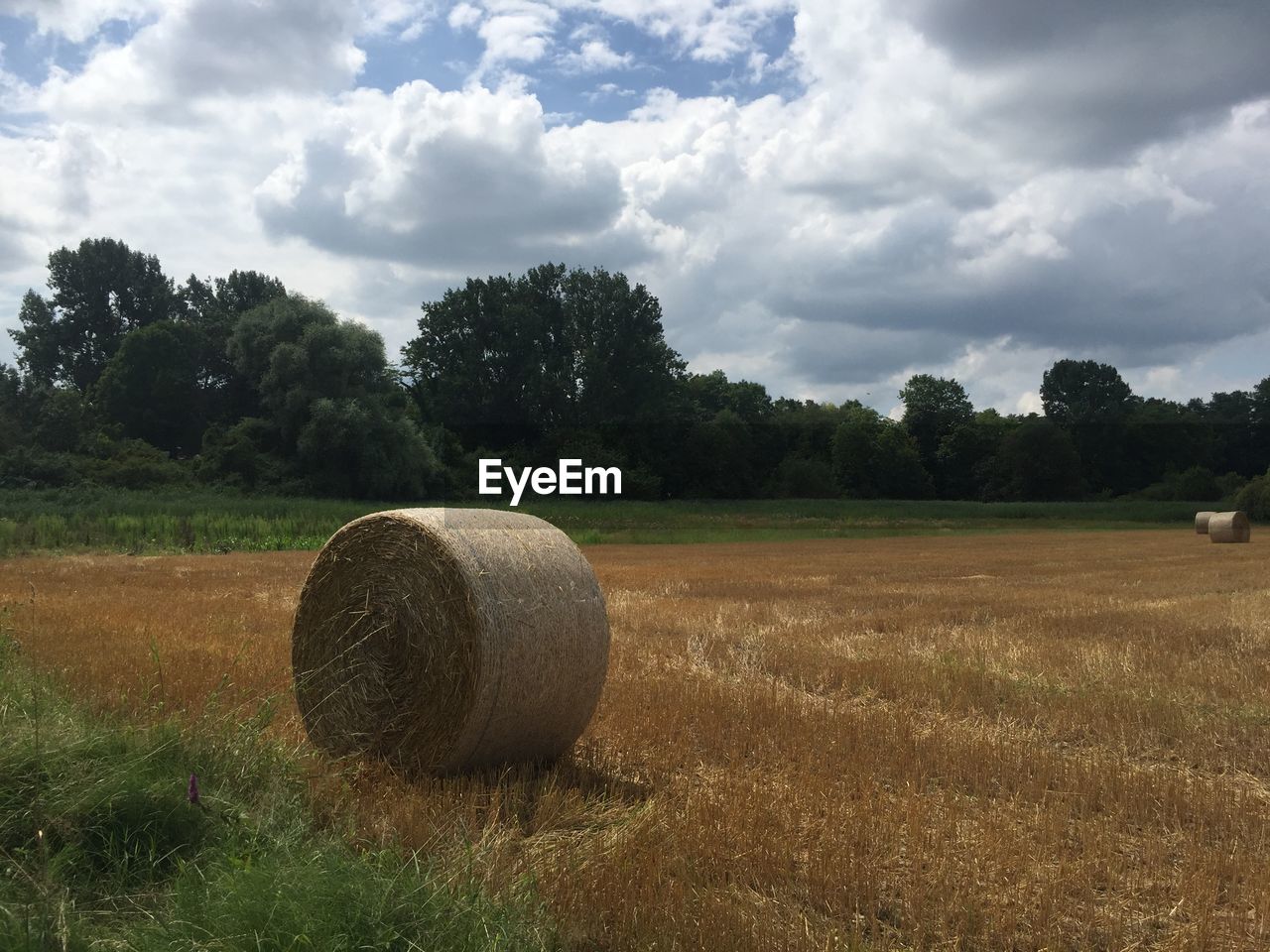 Hay bales on field against sky