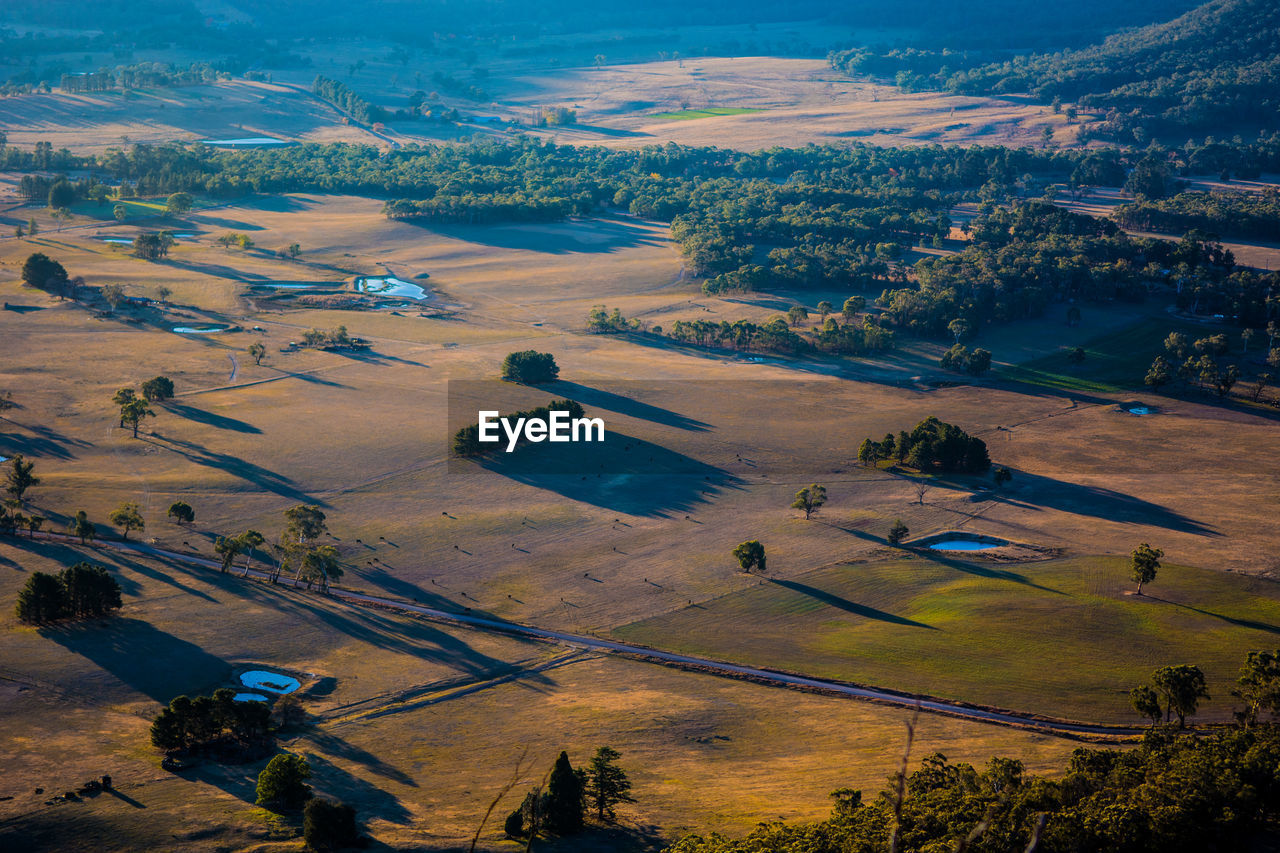 High angle view of agricultural field