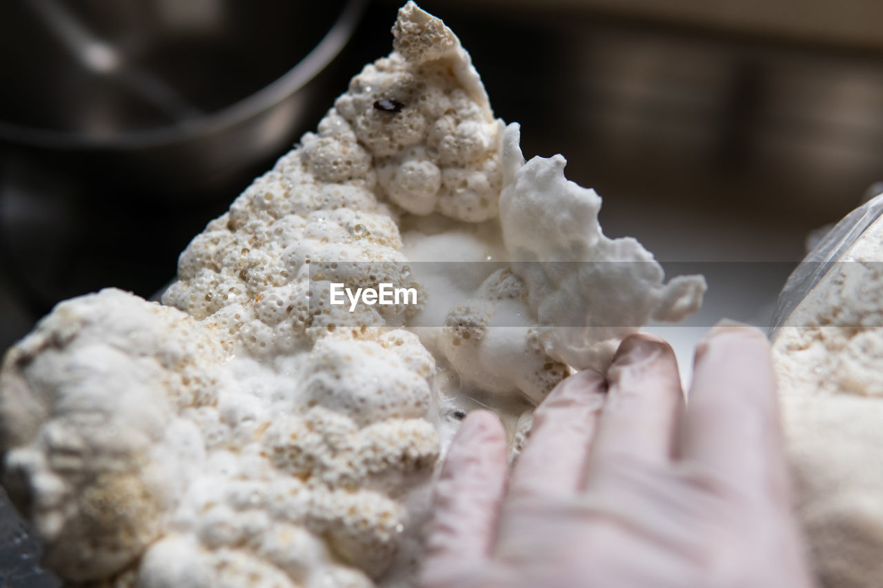 food, food and drink, hand, selective focus, dish, one person, close-up, indoors, shell, icing, freshness, dessert