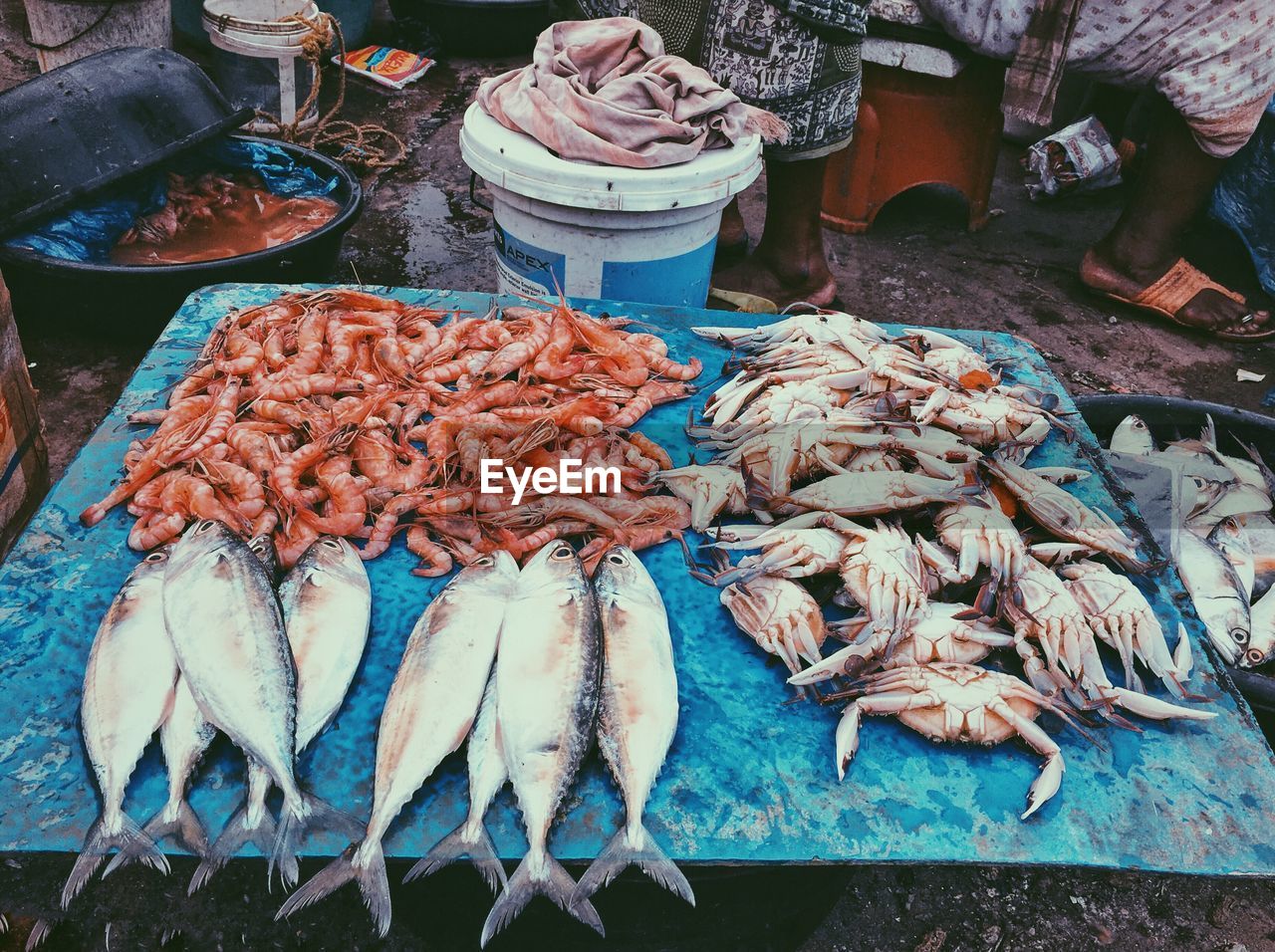 High angle view of various of fish for sale in market