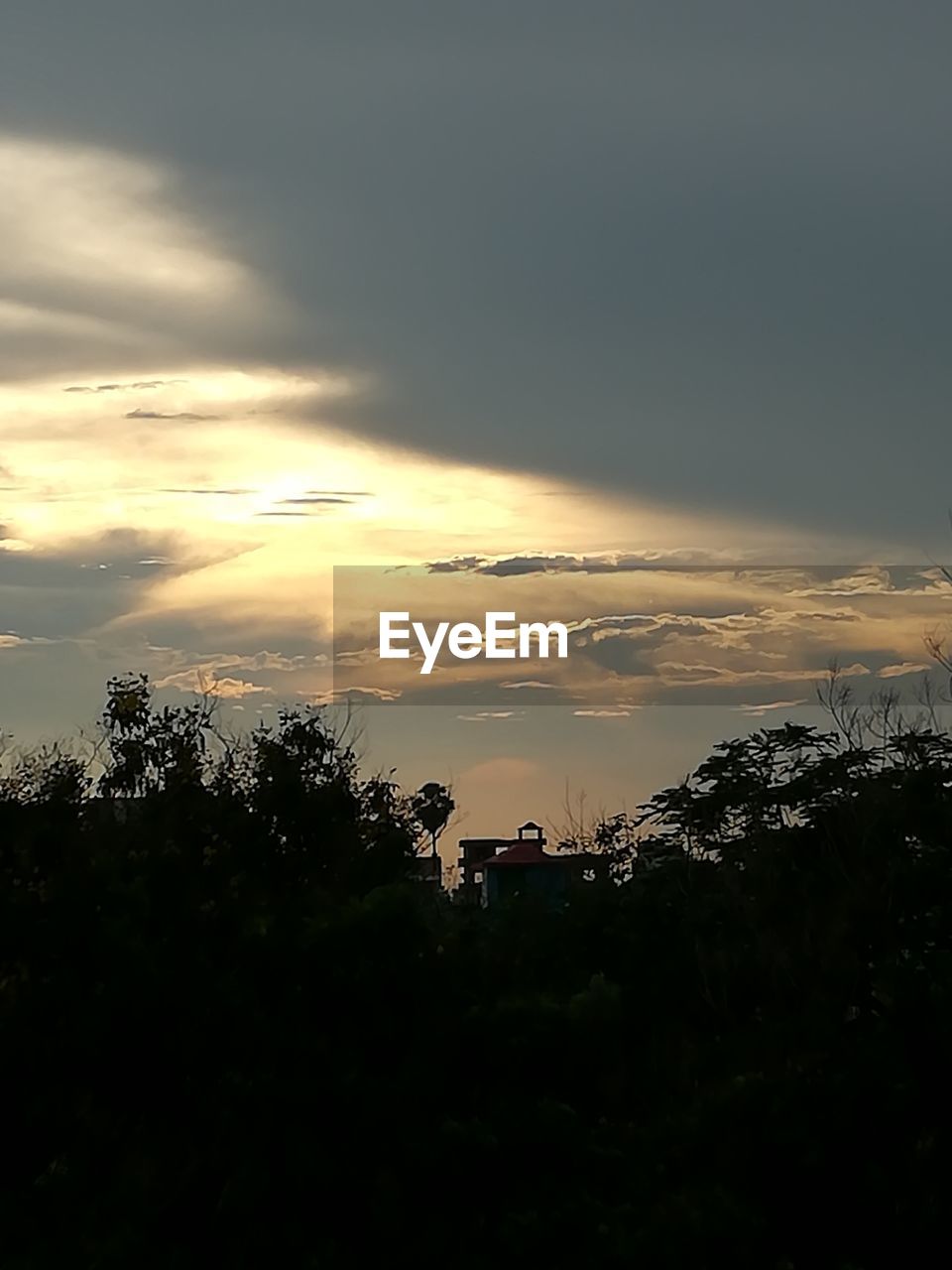 SCENIC VIEW OF SILHOUETTE TREES AGAINST SKY AT SUNSET