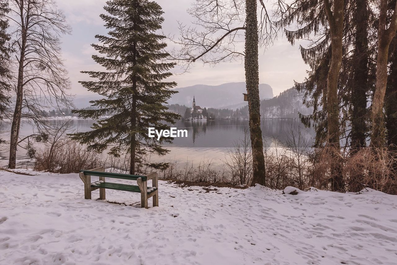 Trees on snow covered field during winter