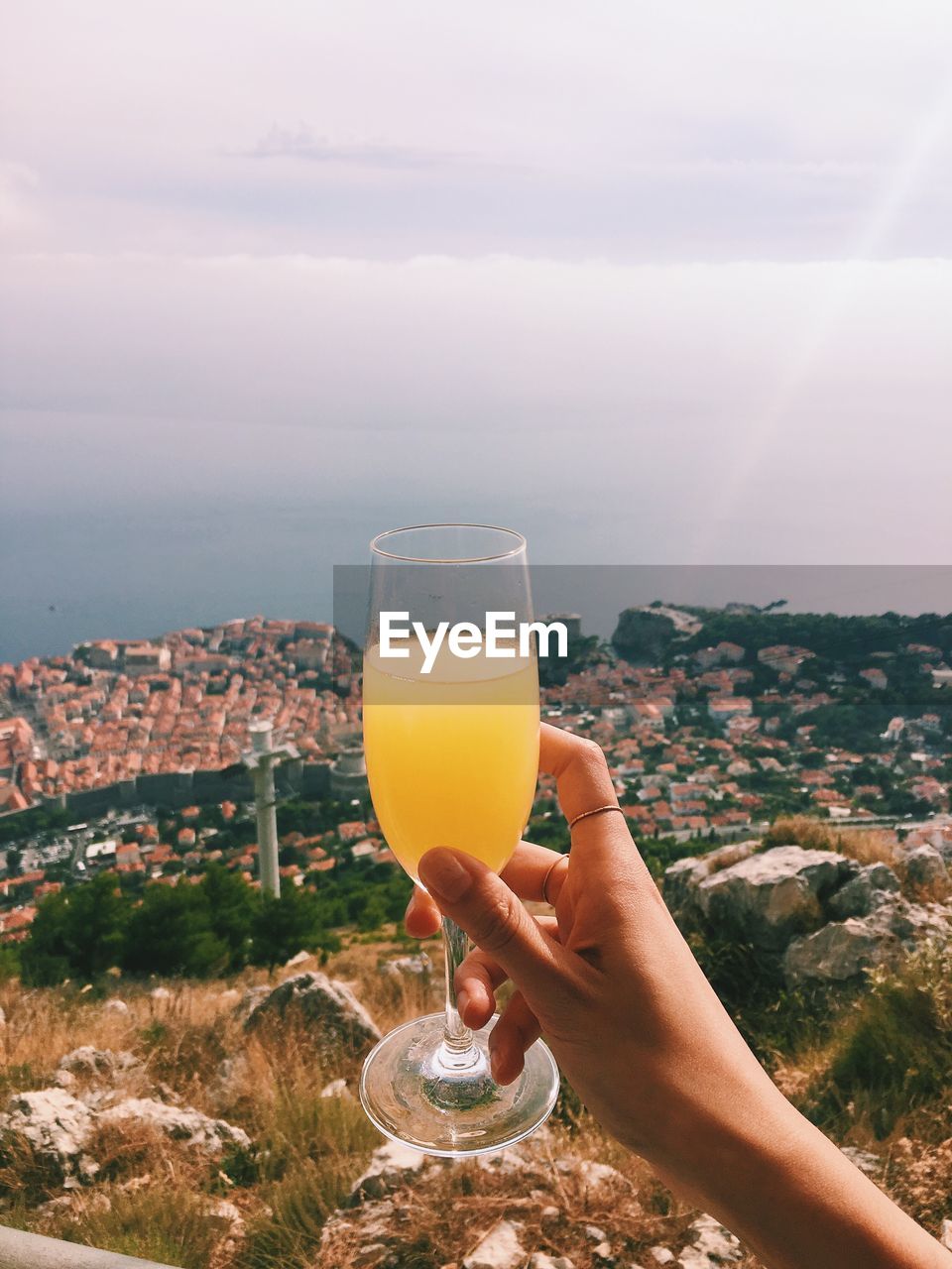 Cropped hand of woman holding mimosa against city by sea