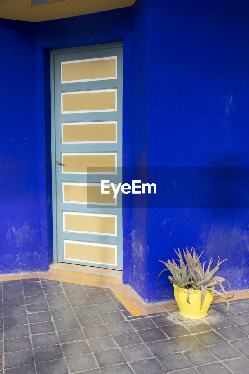 Blue wall with colorful door