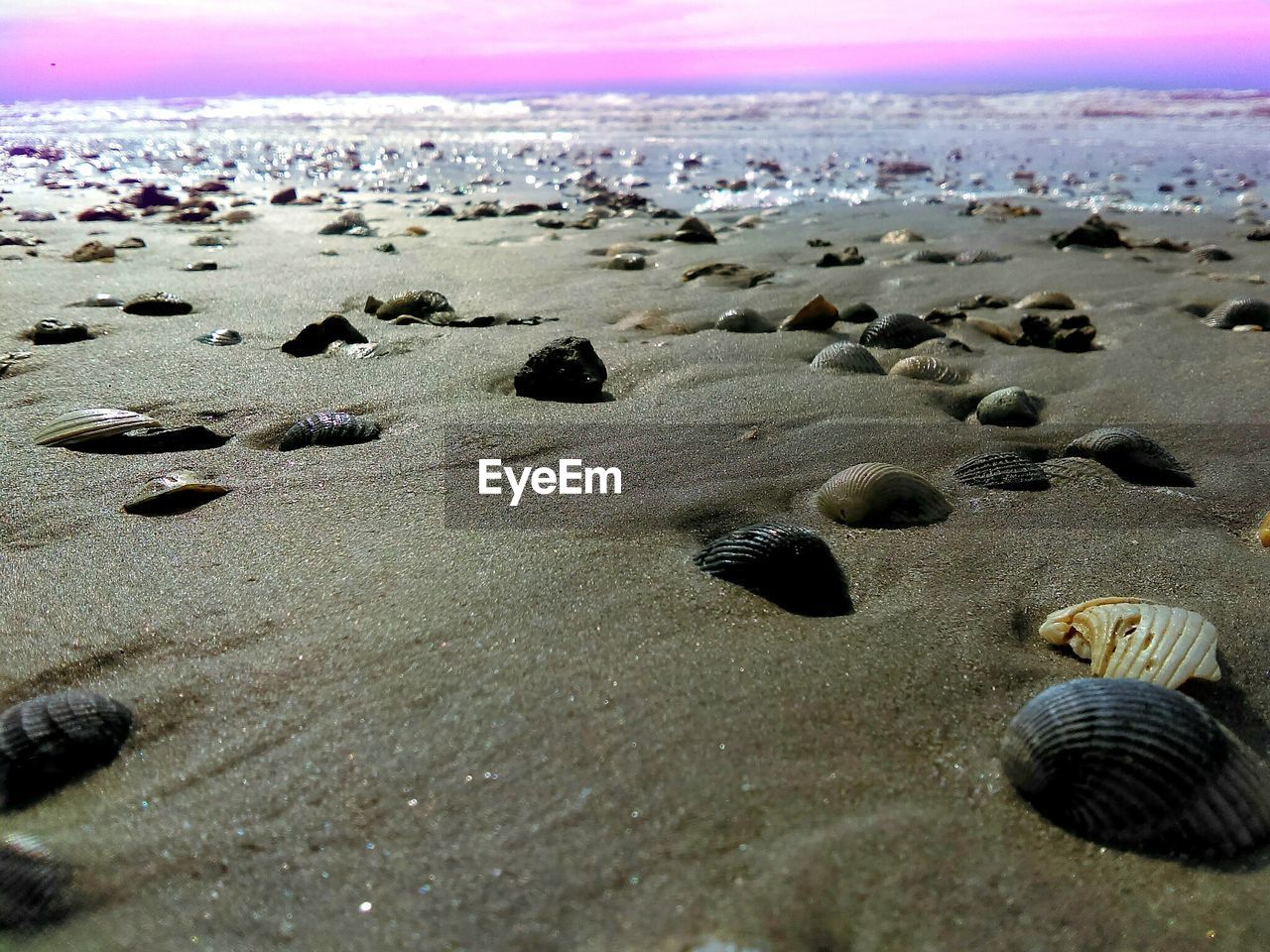 Scenic view of beach at sunset