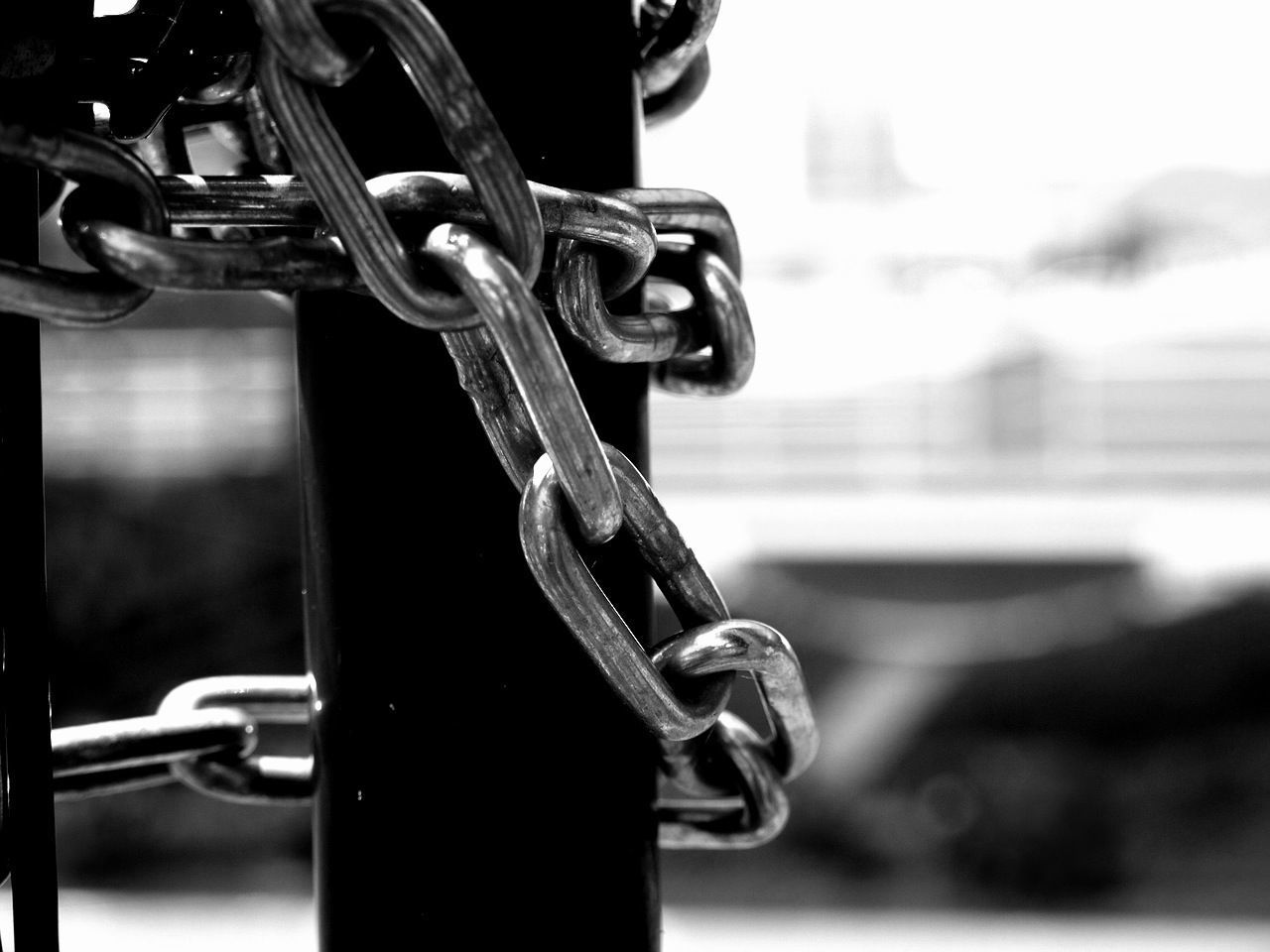 Close-up of chains tied to cropped pole