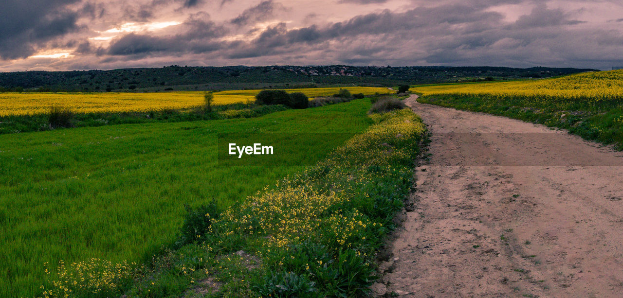 SCENIC VIEW OF LAND AGAINST SKY