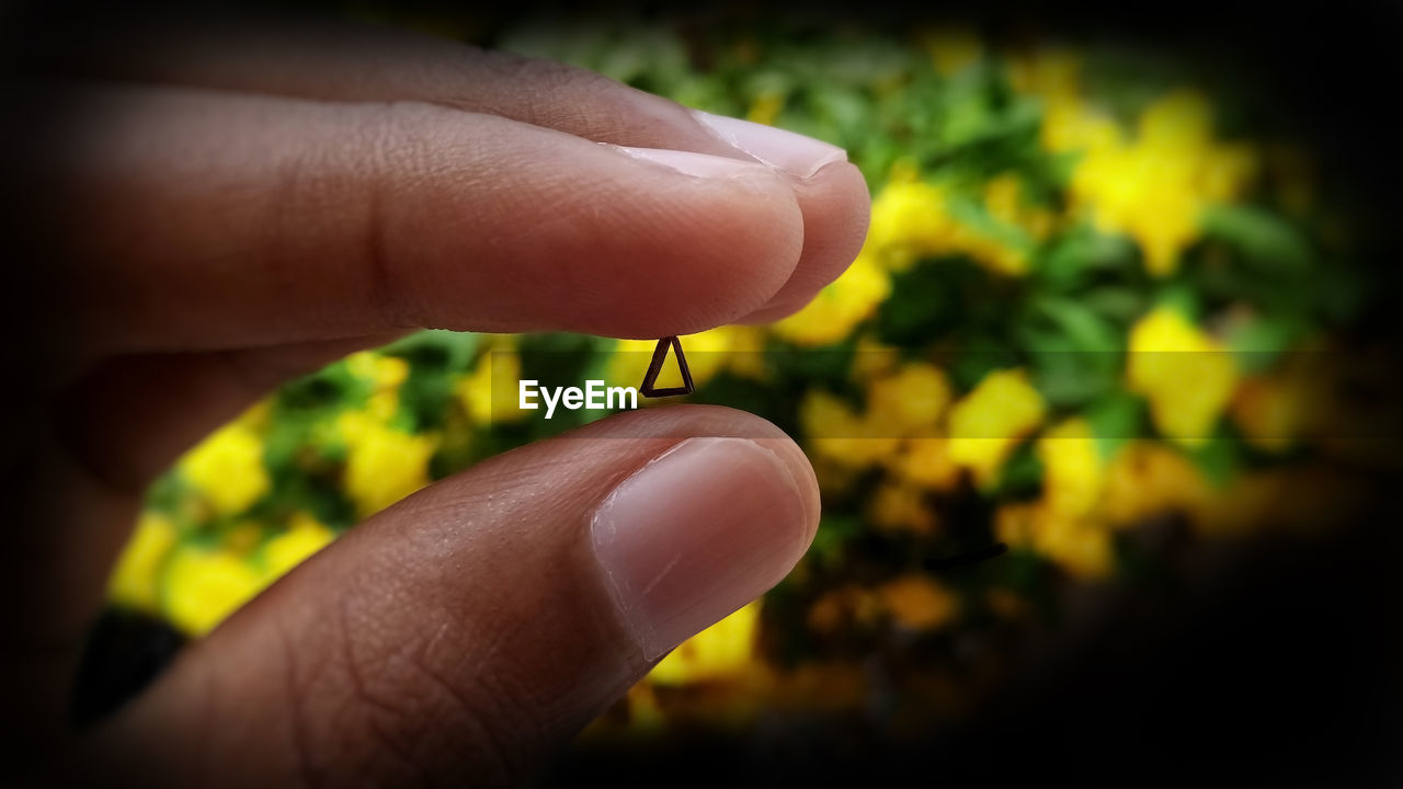 CLOSE-UP OF PERSON HAND HOLDING SMALL