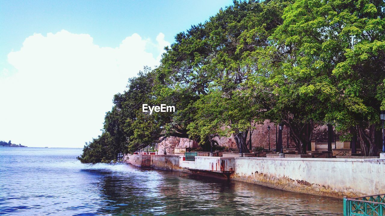 River by trees against sky