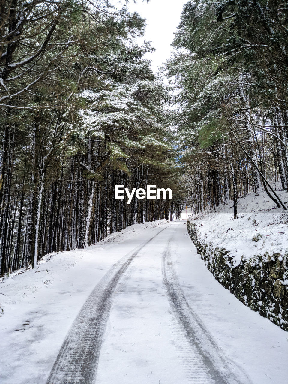 Snow covered road amidst trees in forest