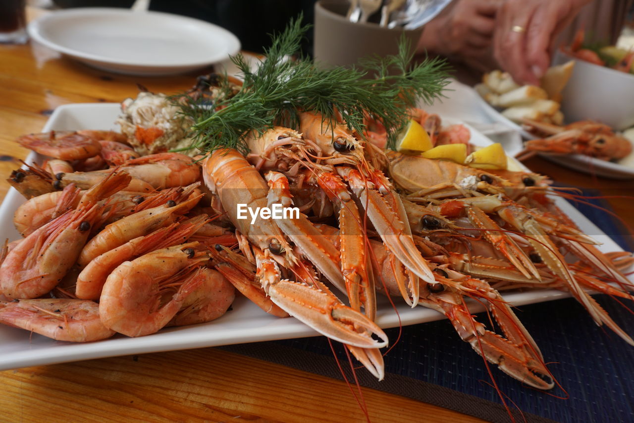 High angle view of seafood in plate