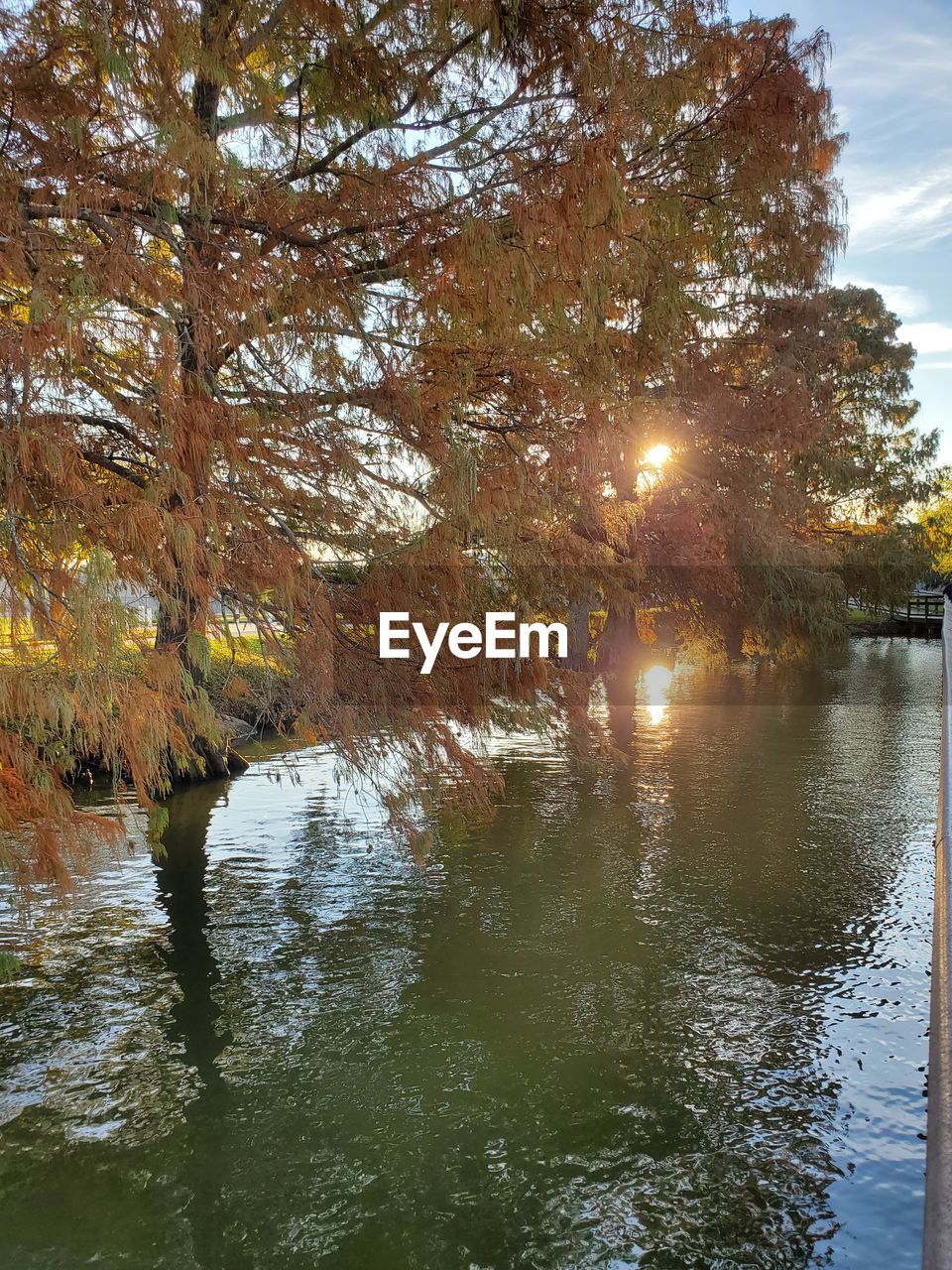 REFLECTION OF TREES ON LAKE AGAINST SKY