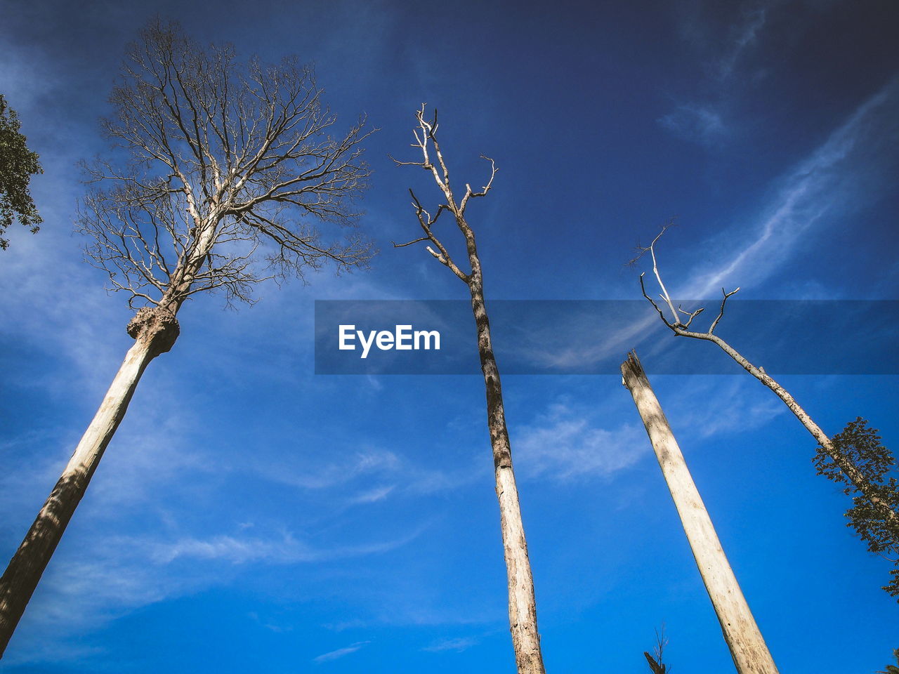 LOW ANGLE VIEW OF VAPOR TRAIL AGAINST SKY