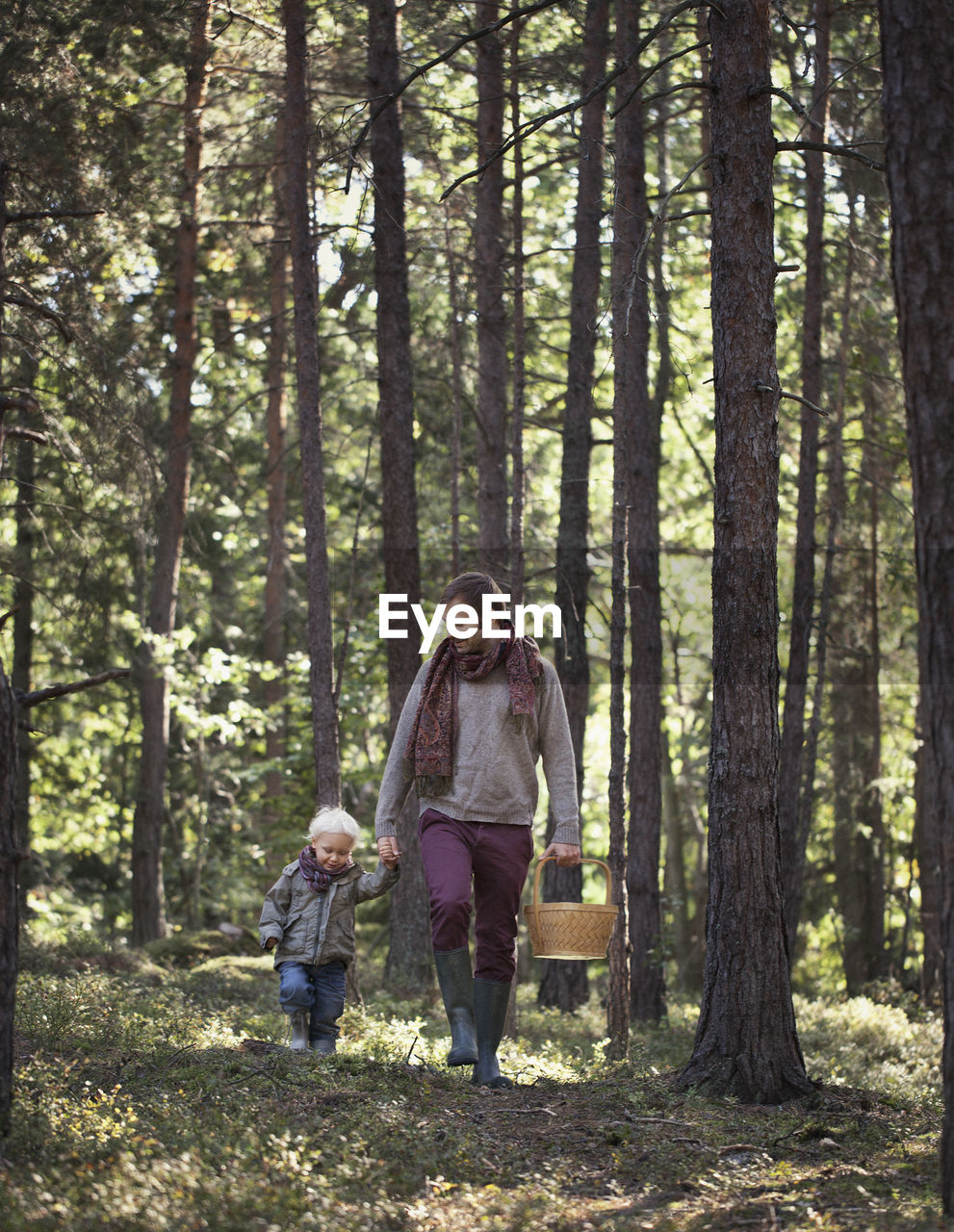 Father walking with son through forest