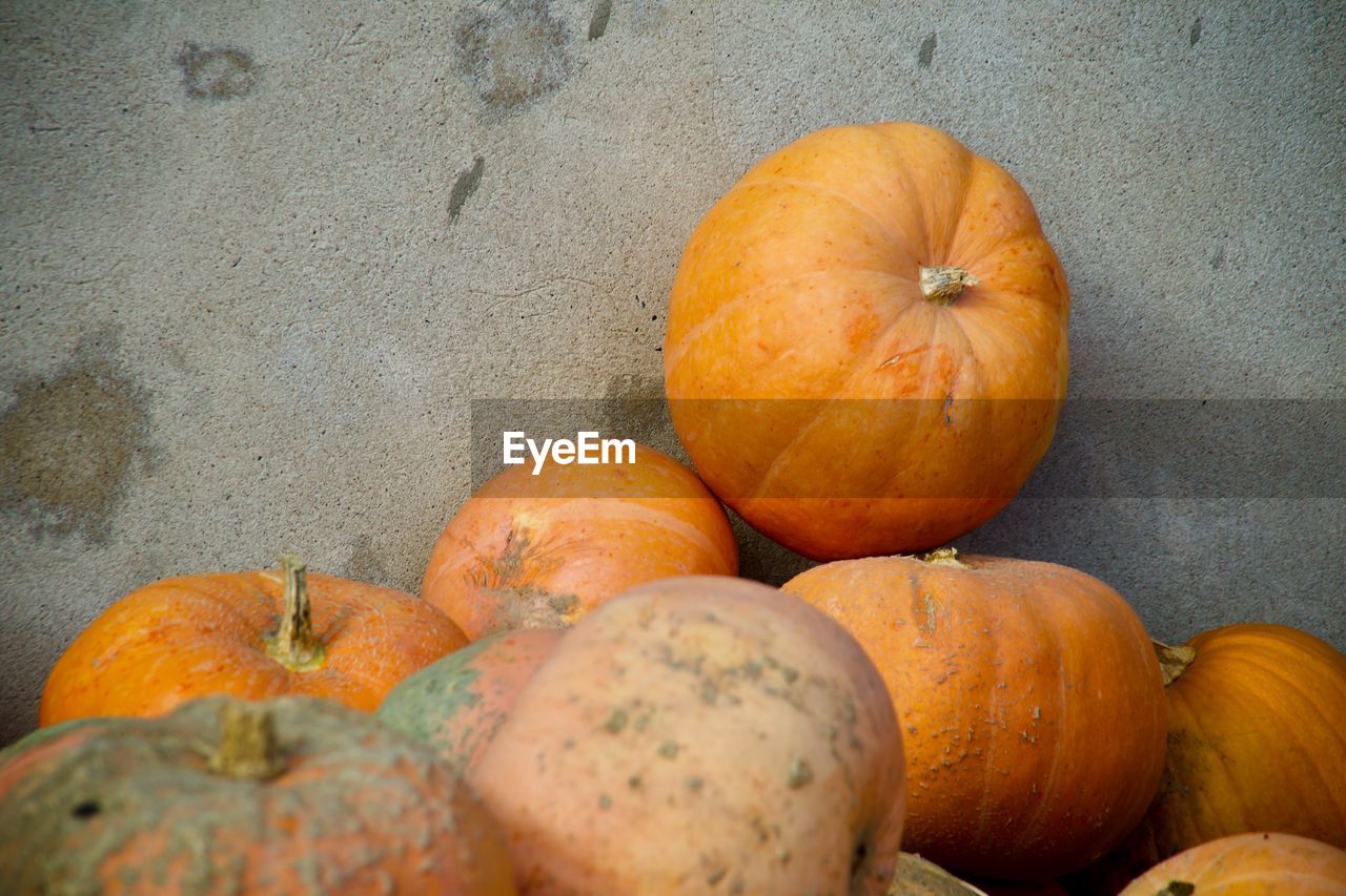 Close-up of pumpkins against wall