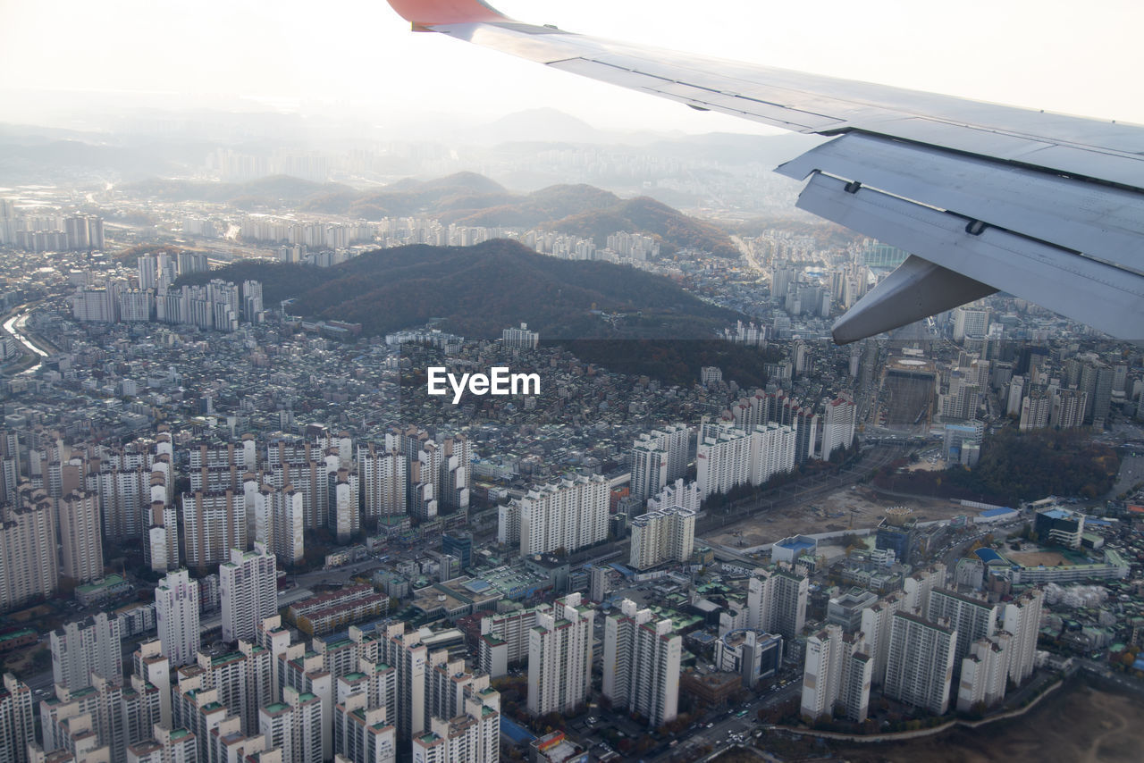 Cropped image of airplane over cityscape