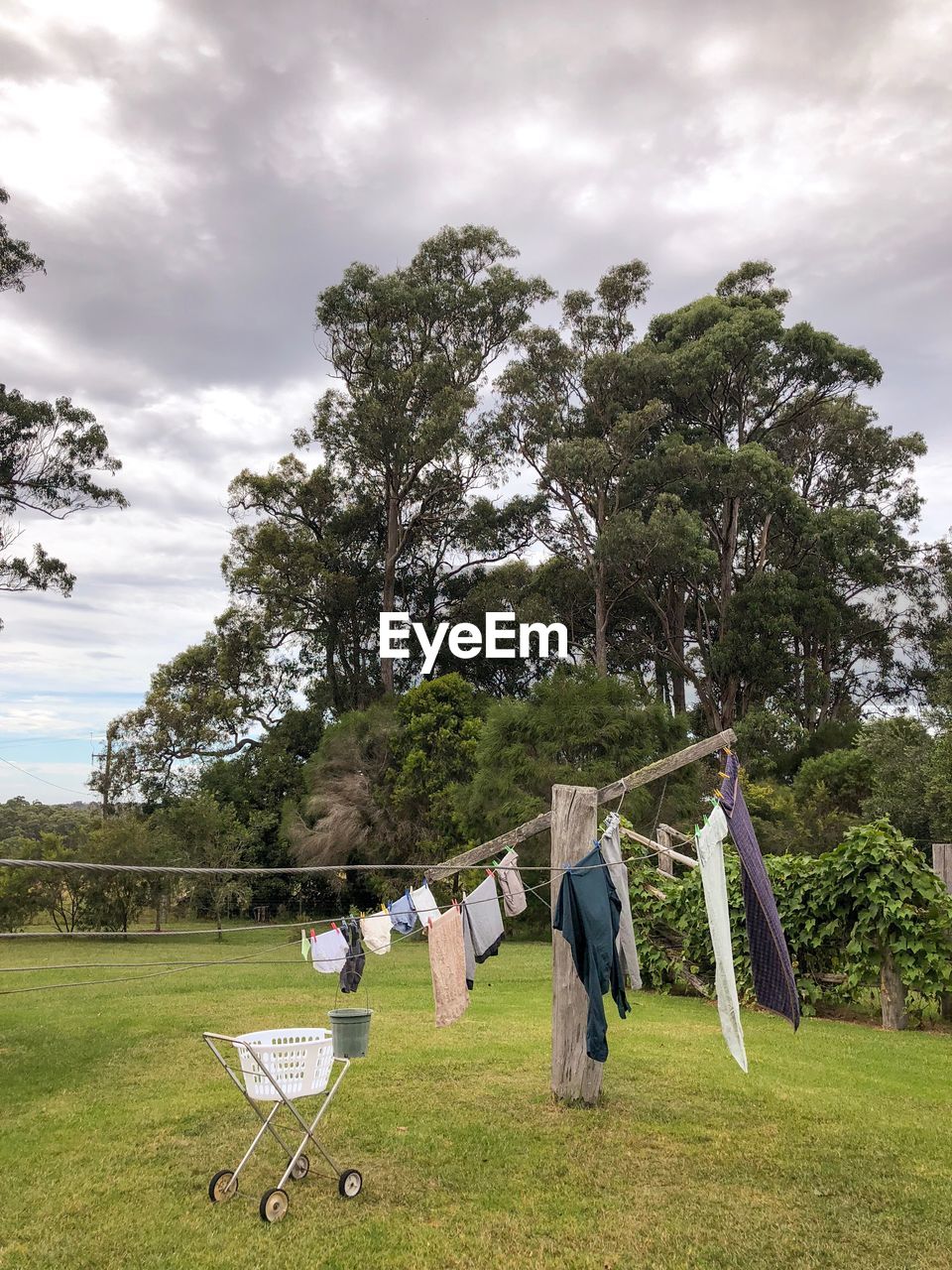 MEN HANGING ON TREE