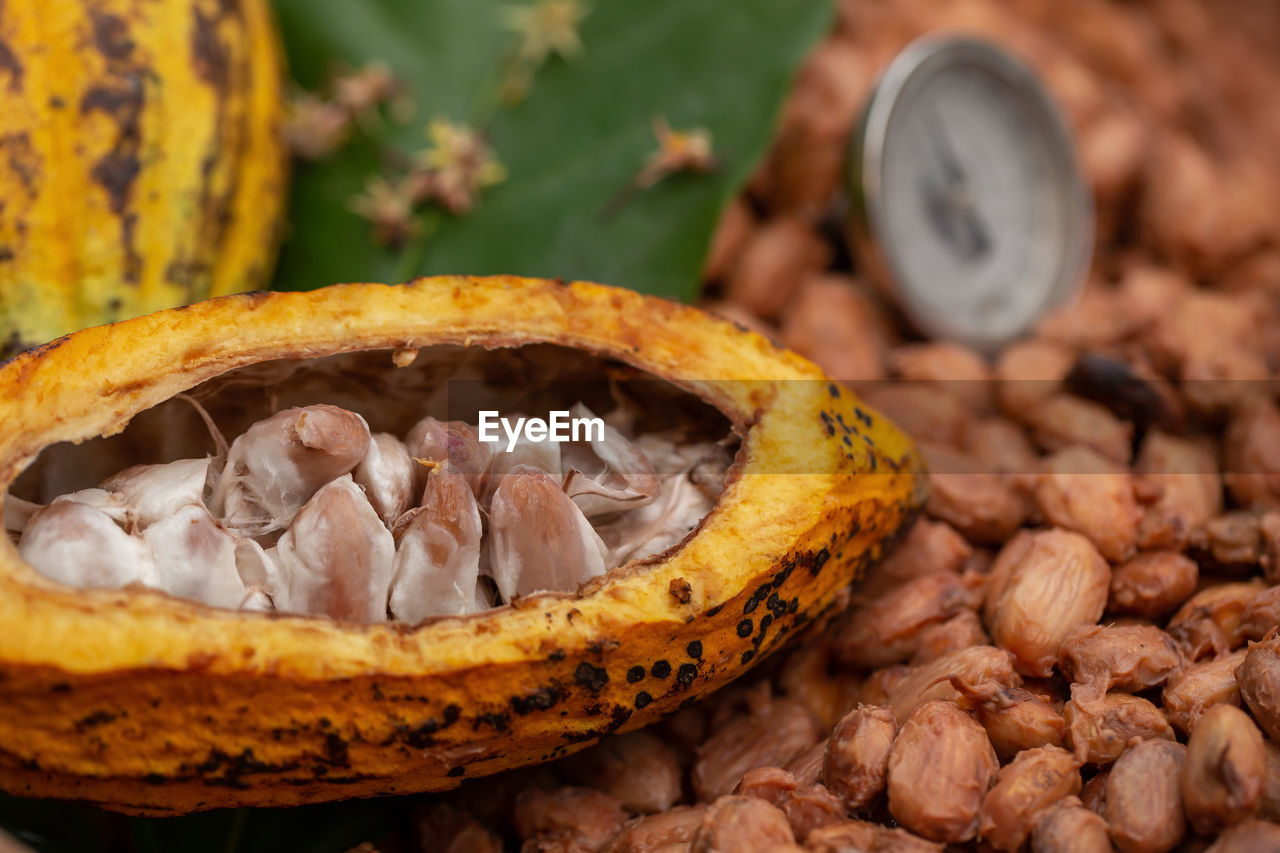 HIGH ANGLE VIEW OF BANANAS IN CONTAINER ON TABLE