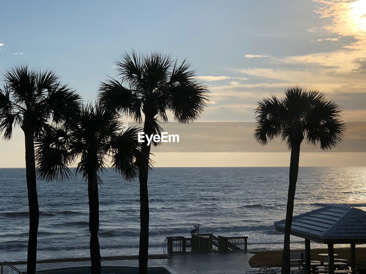 PALM TREES AT BEACH DURING SUNSET