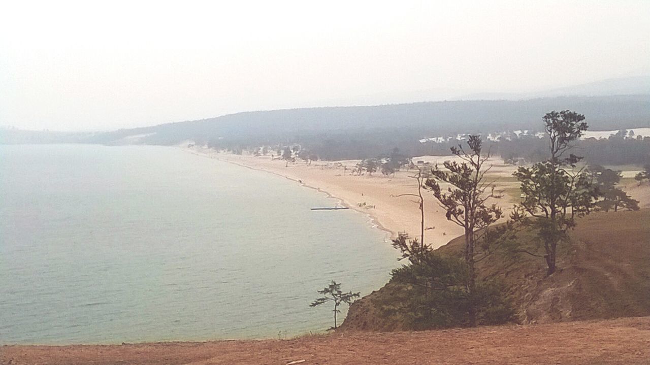 TREES ON BEACH AGAINST SKY