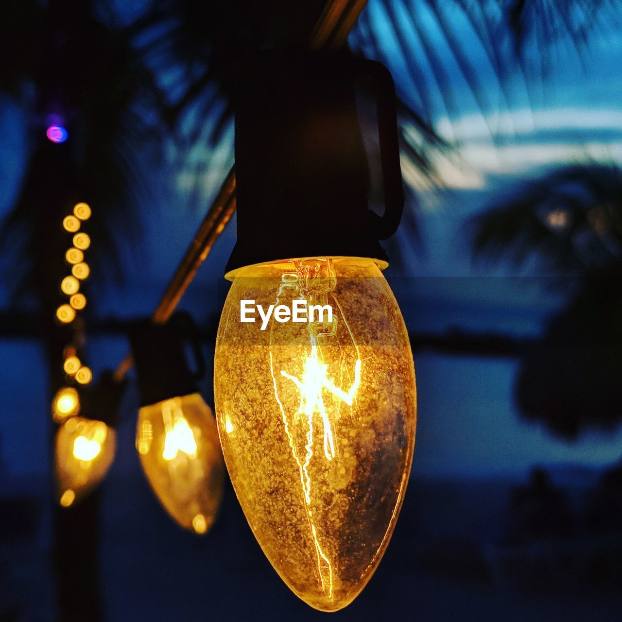 Low angle view of illuminated light bulb hanging from palm trees