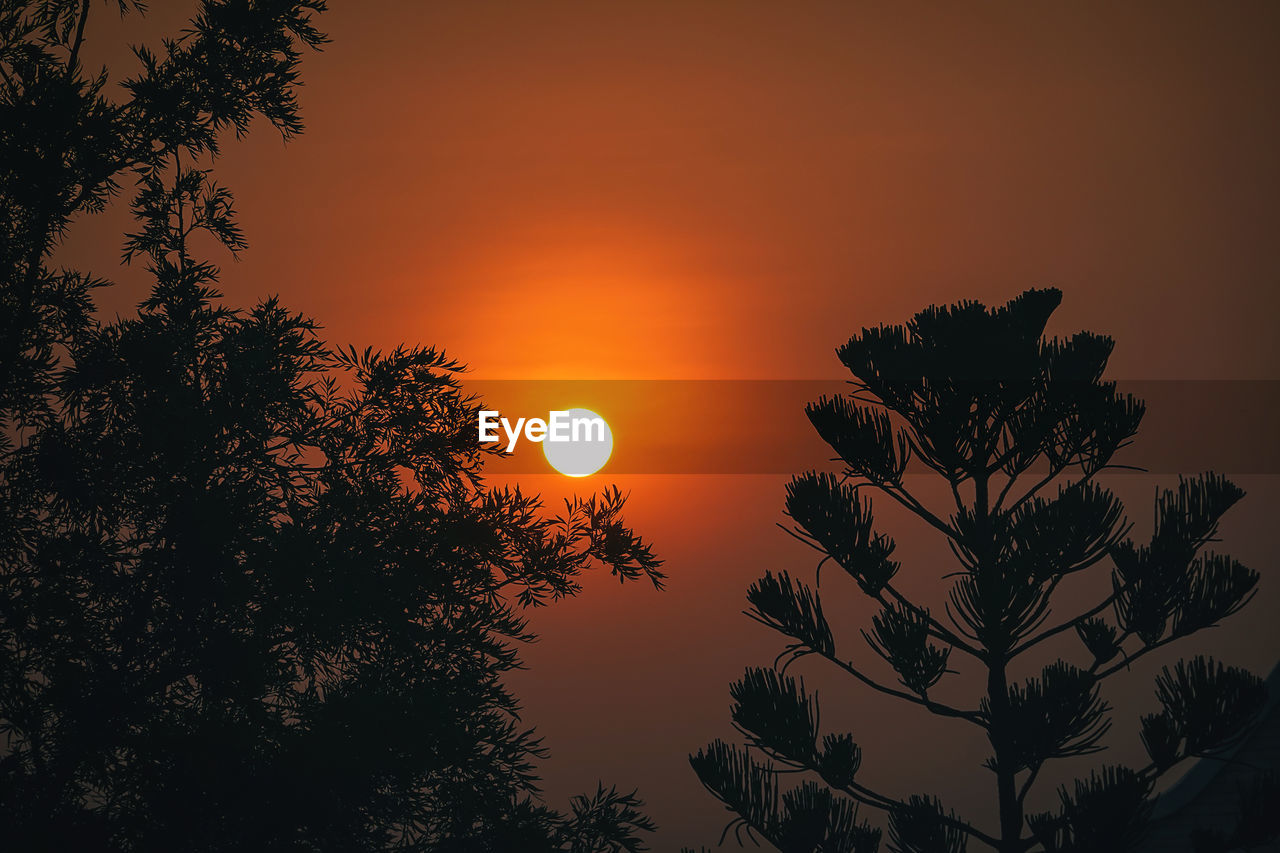 LOW ANGLE VIEW OF SILHOUETTE TREE AGAINST ROMANTIC SKY