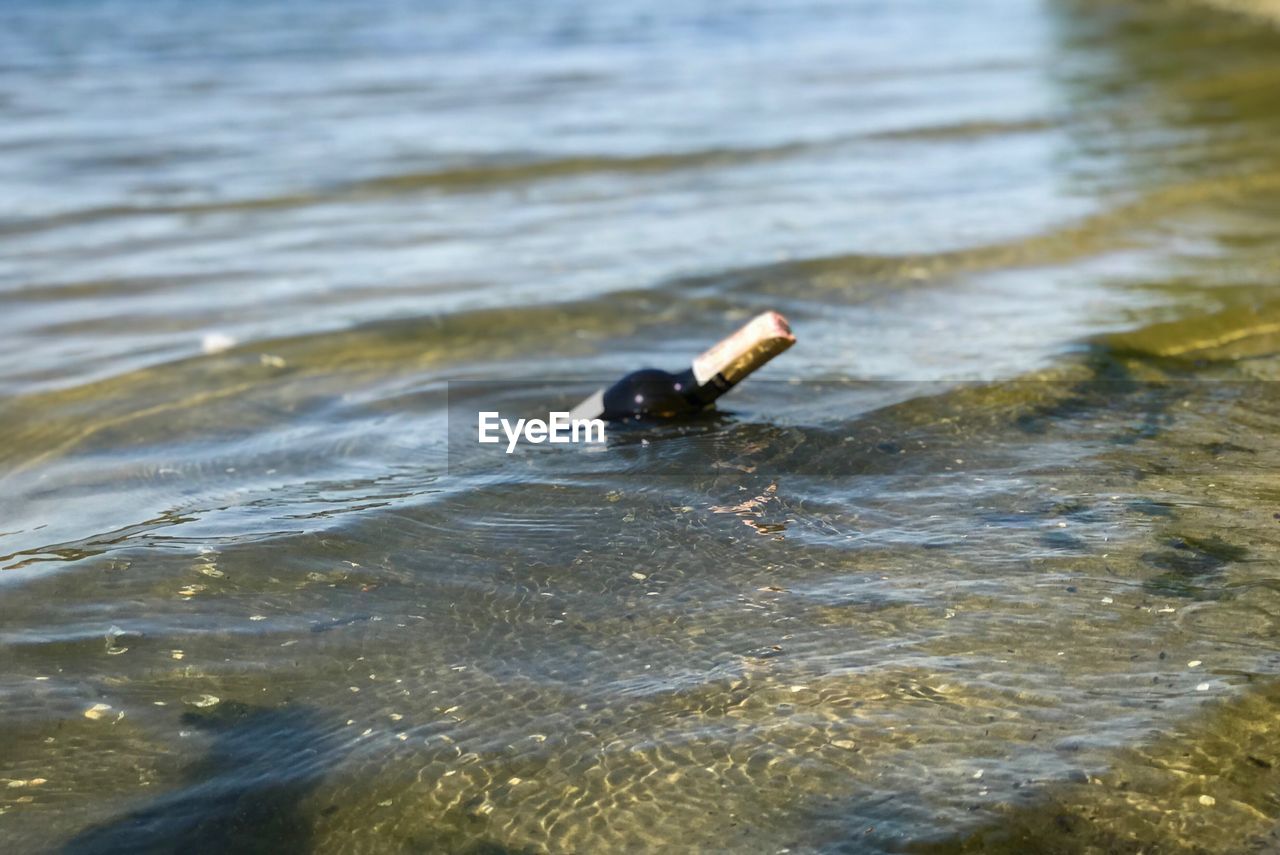 HIGH ANGLE VIEW OF DUCK SWIMMING ON SEA