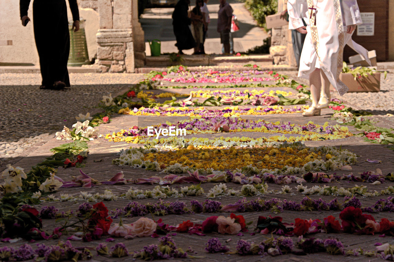 LOW SECTION OF PEOPLE WALKING IN FLOWER