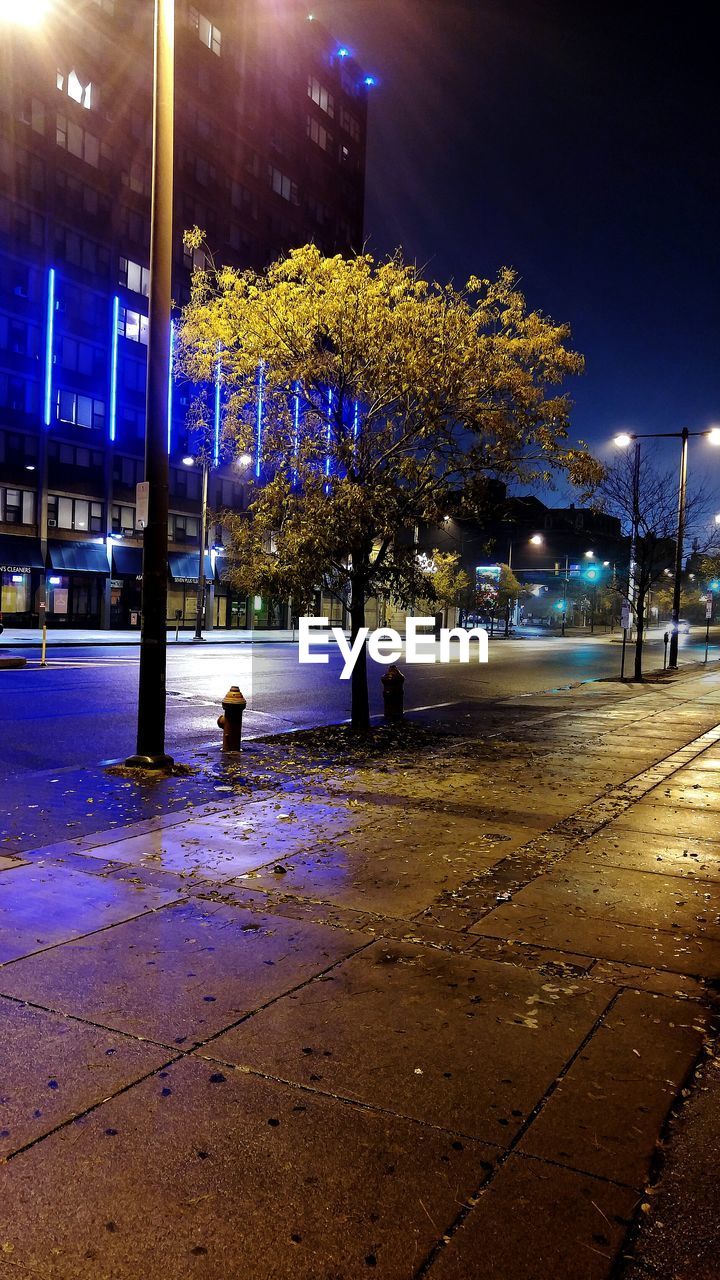 VIEW OF ILLUMINATED STREET LIGHTS