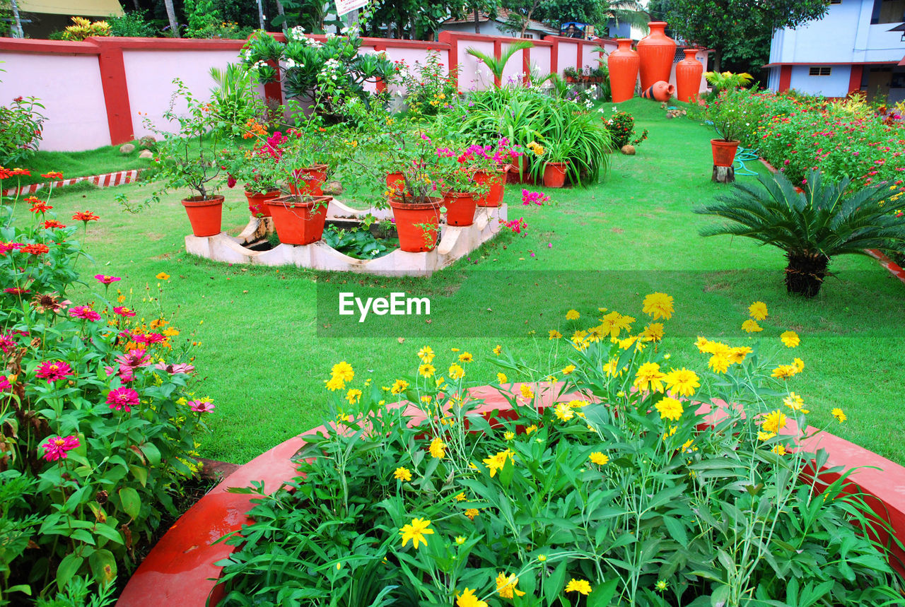 FLOWERS IN GARDEN